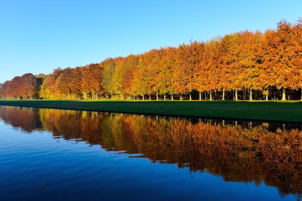 African Heritage Tervuren Bagian luar foto